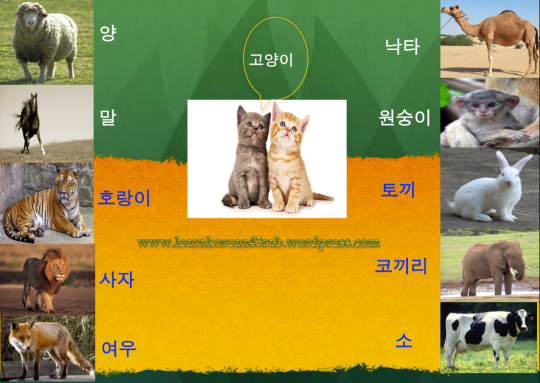 الحيوانات باللغة الكورية  Eb8f99ebacbceb93a4-ec9db4eba684